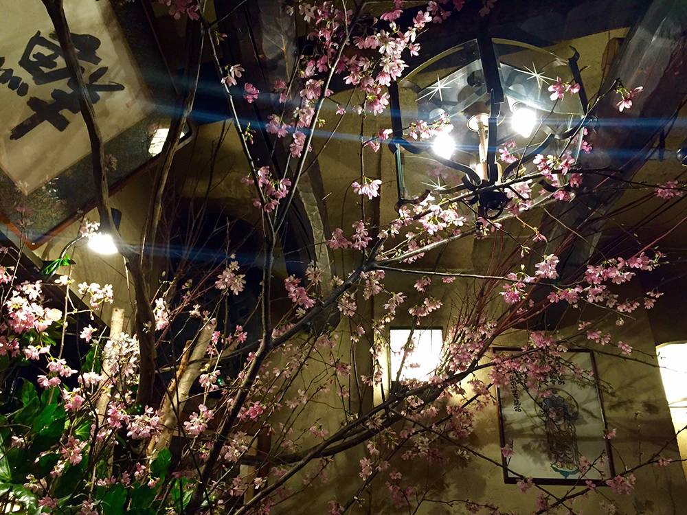 写真5 桜